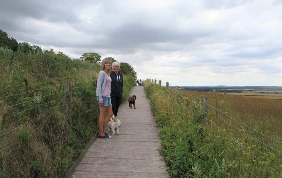 Owners and their dogs enjoying the view from the boardwalk