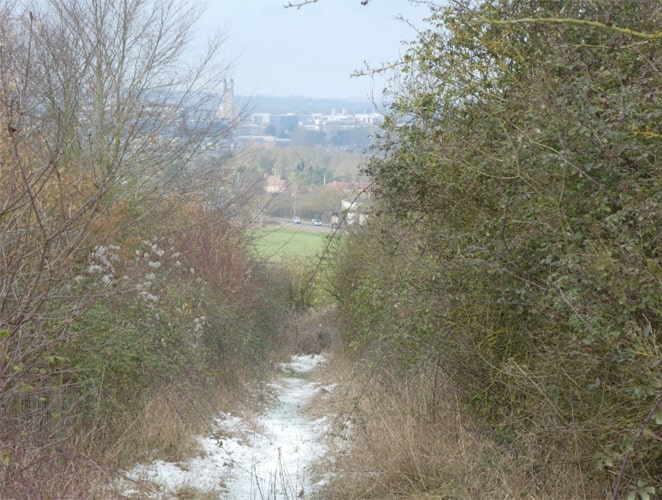 Perimeter path with the Biomedical campus in the background