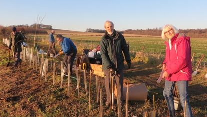 Volunteers hedge planting on South Down