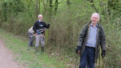 Volunteers tidying and trimming hedge