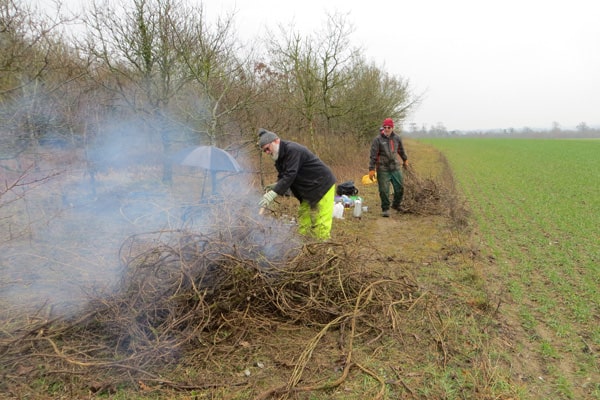 Shows volunteers tidying up and clearing wild clematis in one of the woods on Magog Down