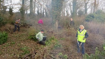 Volunteers clearing scrub in the clunch pit on South Down, prior to creation of a scrape