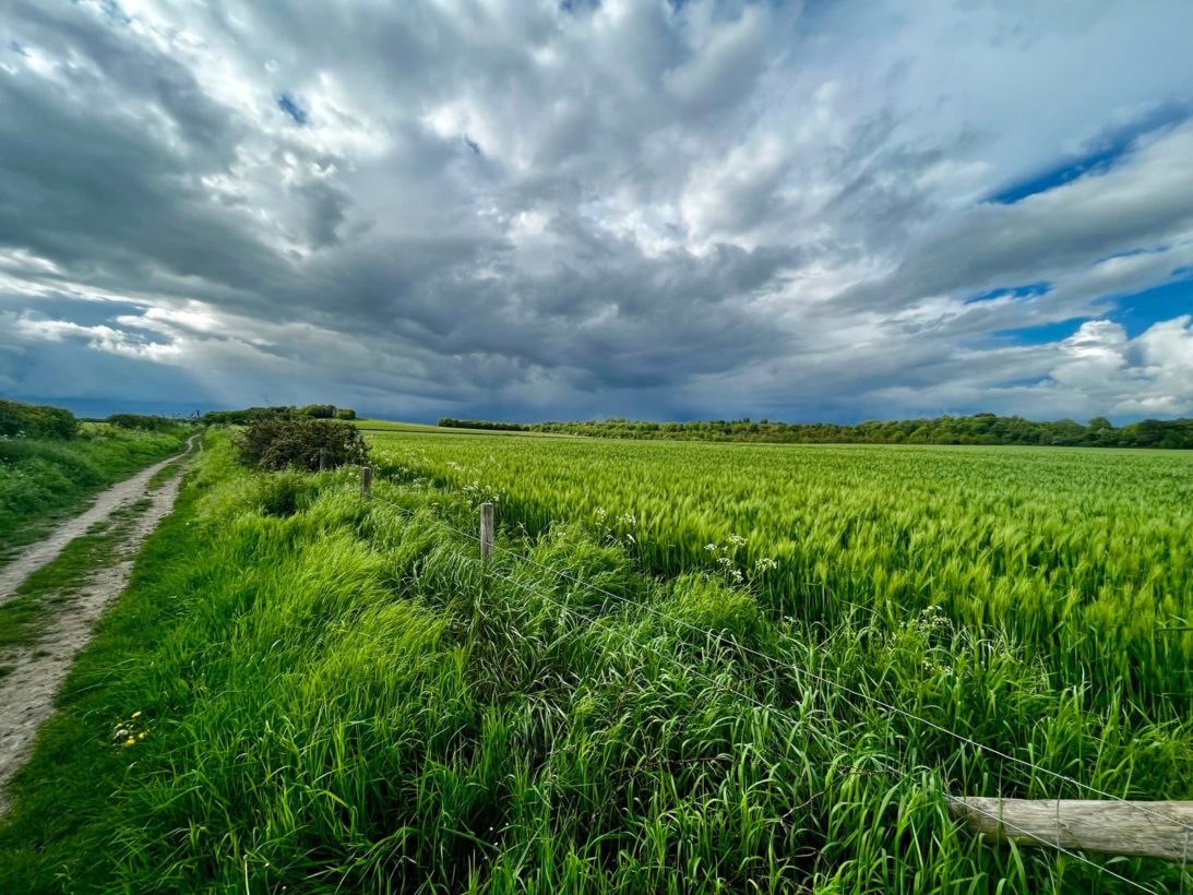 dramatic grey skies-min