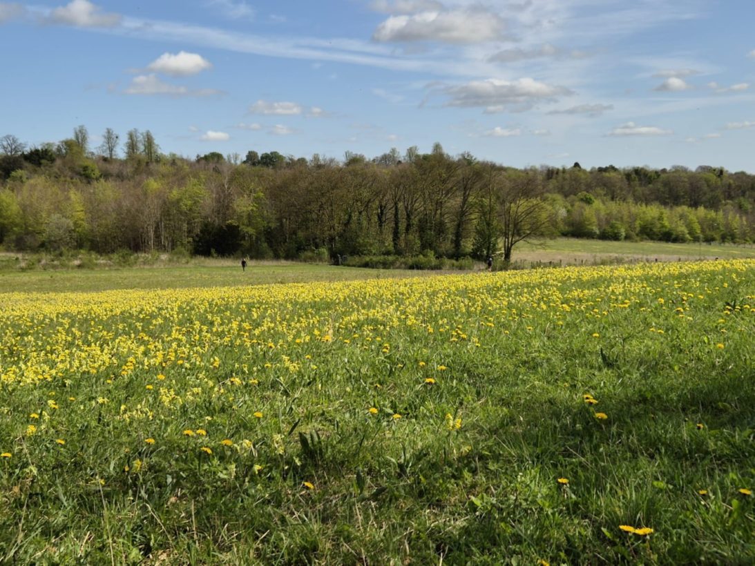Maggie – spring resize jpeg-min