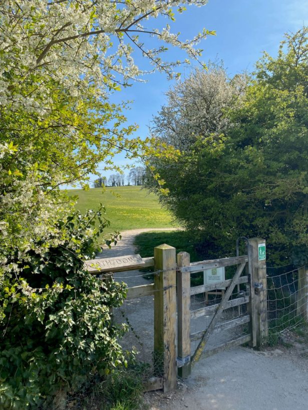 Looking through the gate on to North Down, 11 April 2025