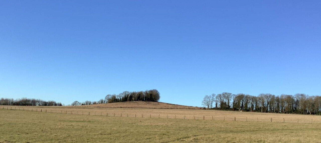 JOBoyle,Looking up to Little Trees Hill from South Down, 4 Jan 2026 crop resized min